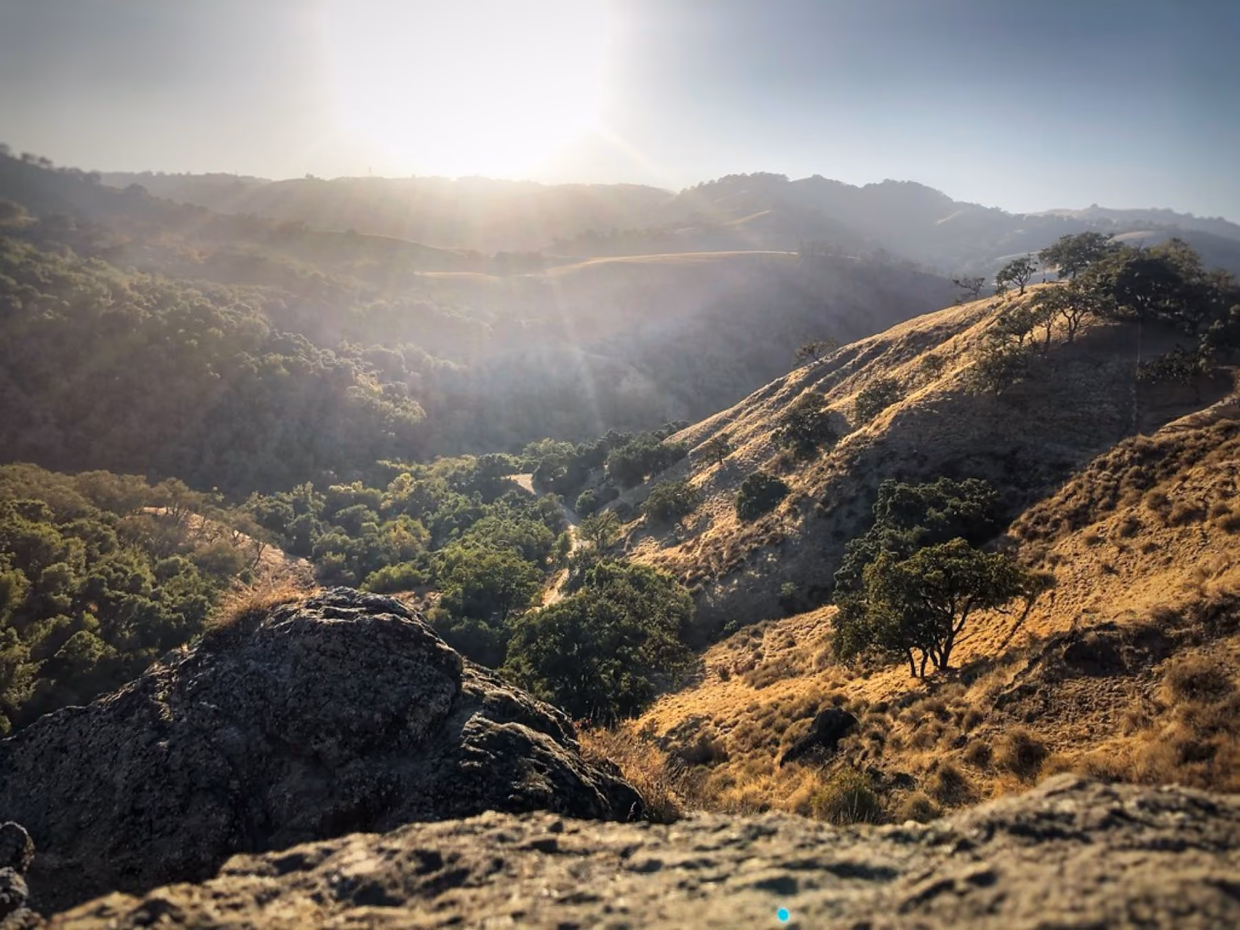 Golden grass hills and oaks under a hazy sun in Sunol Regional Wilderness.