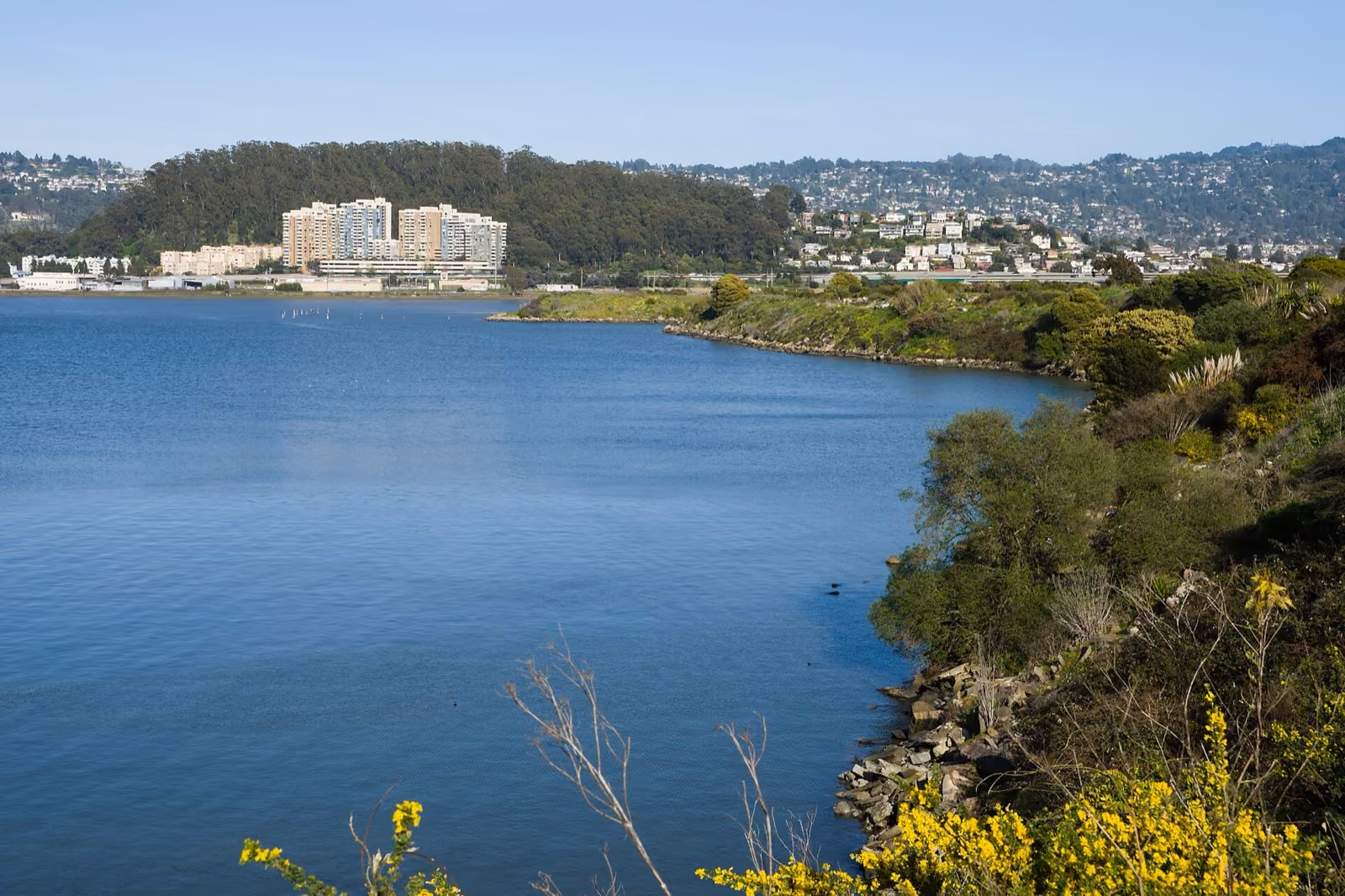 Still water in the foreground, a wooded hill of houses rising across the channel.