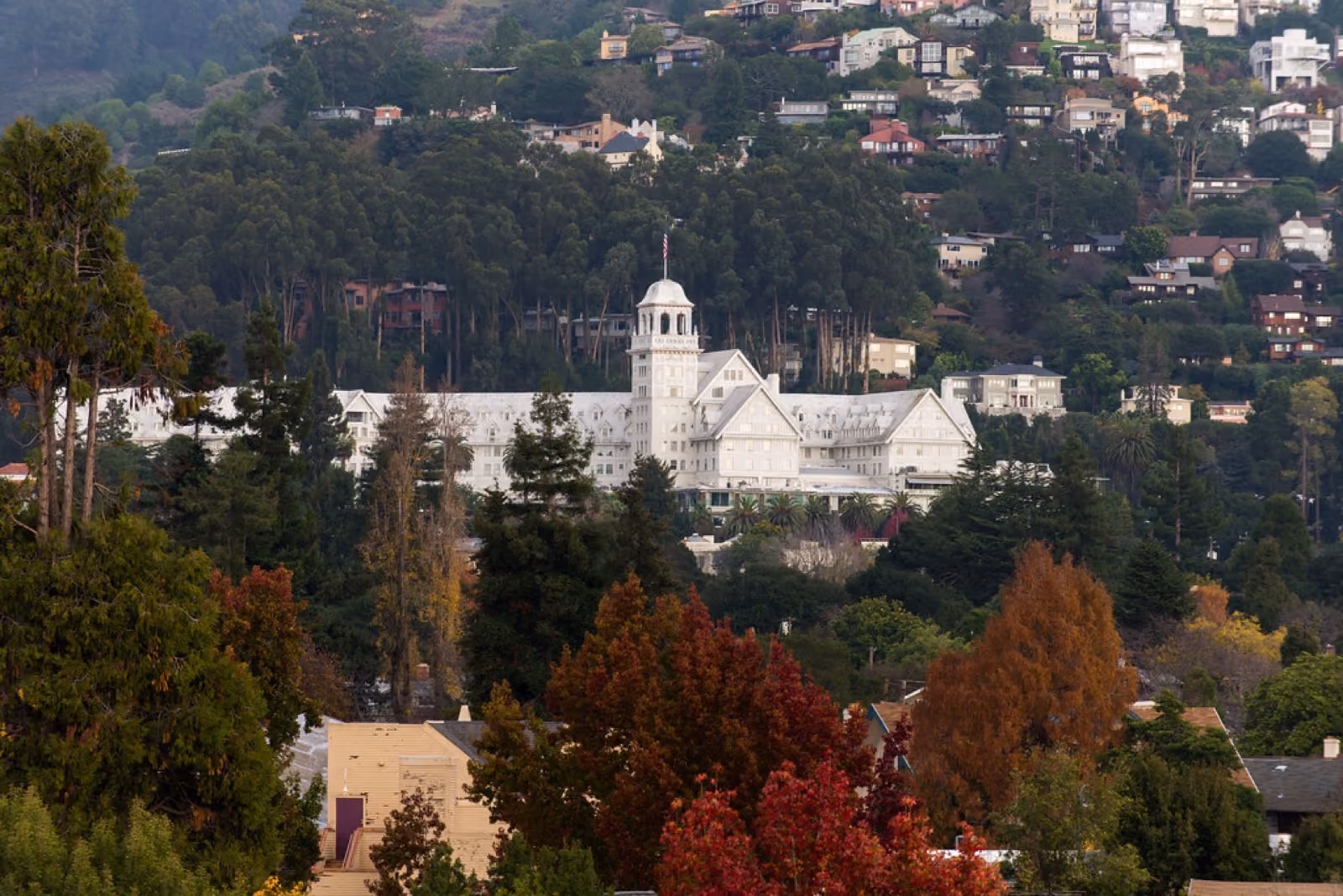 A long white hotel with a tower standing among dark conifers on a wooded slope.
