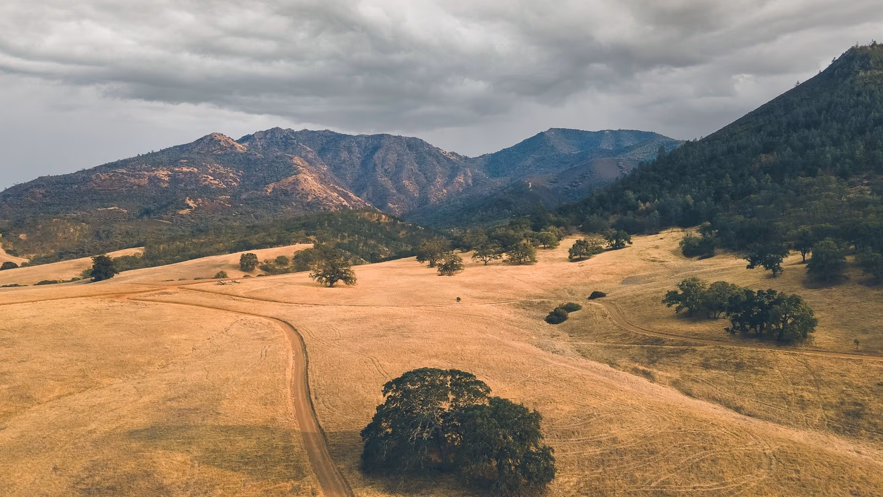 Dry rolling hills with scattered oaks running up to Mount Diablo under a clear sky.