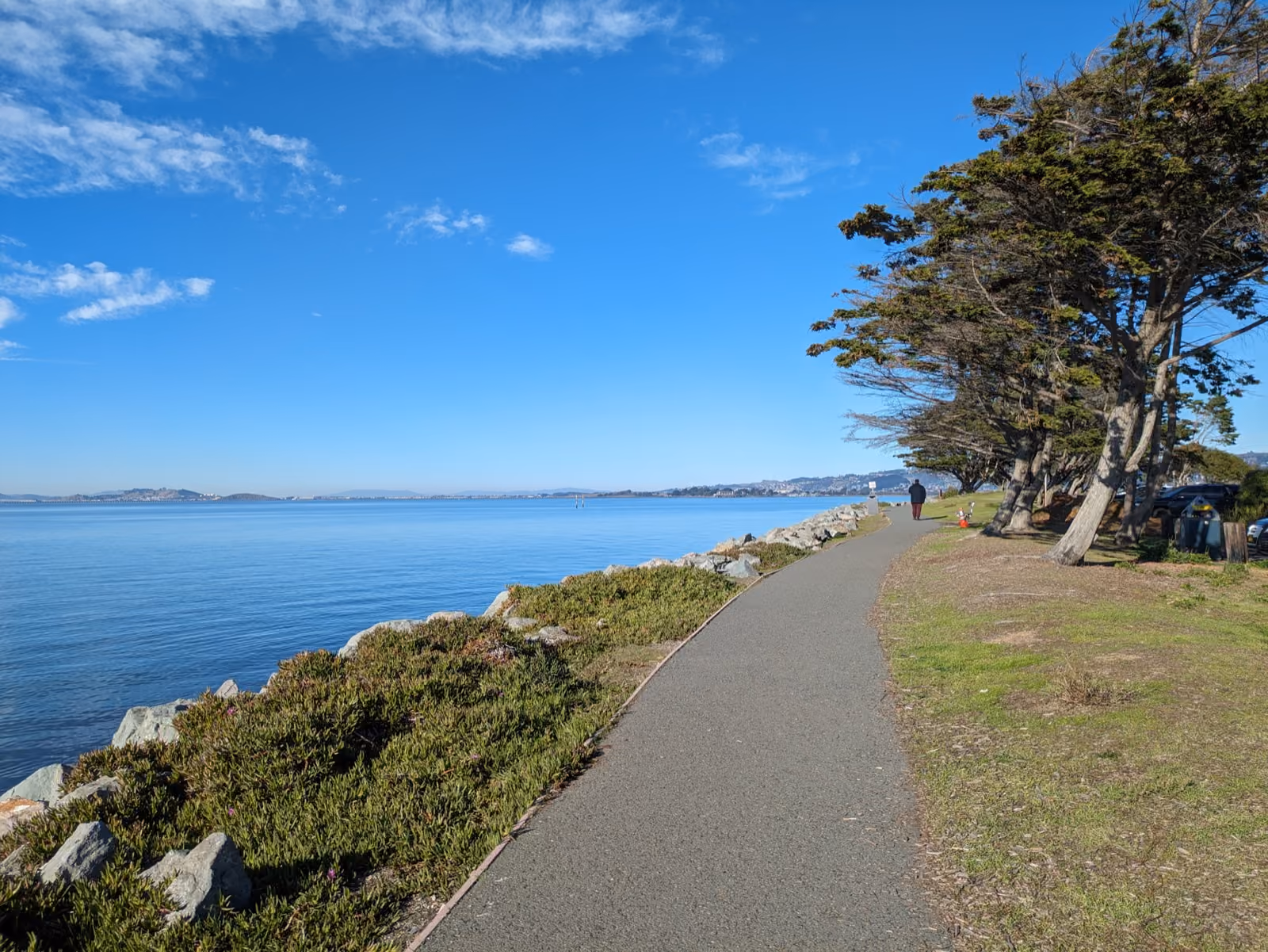 A paved shoreline path running between cypress trees and the open bay.