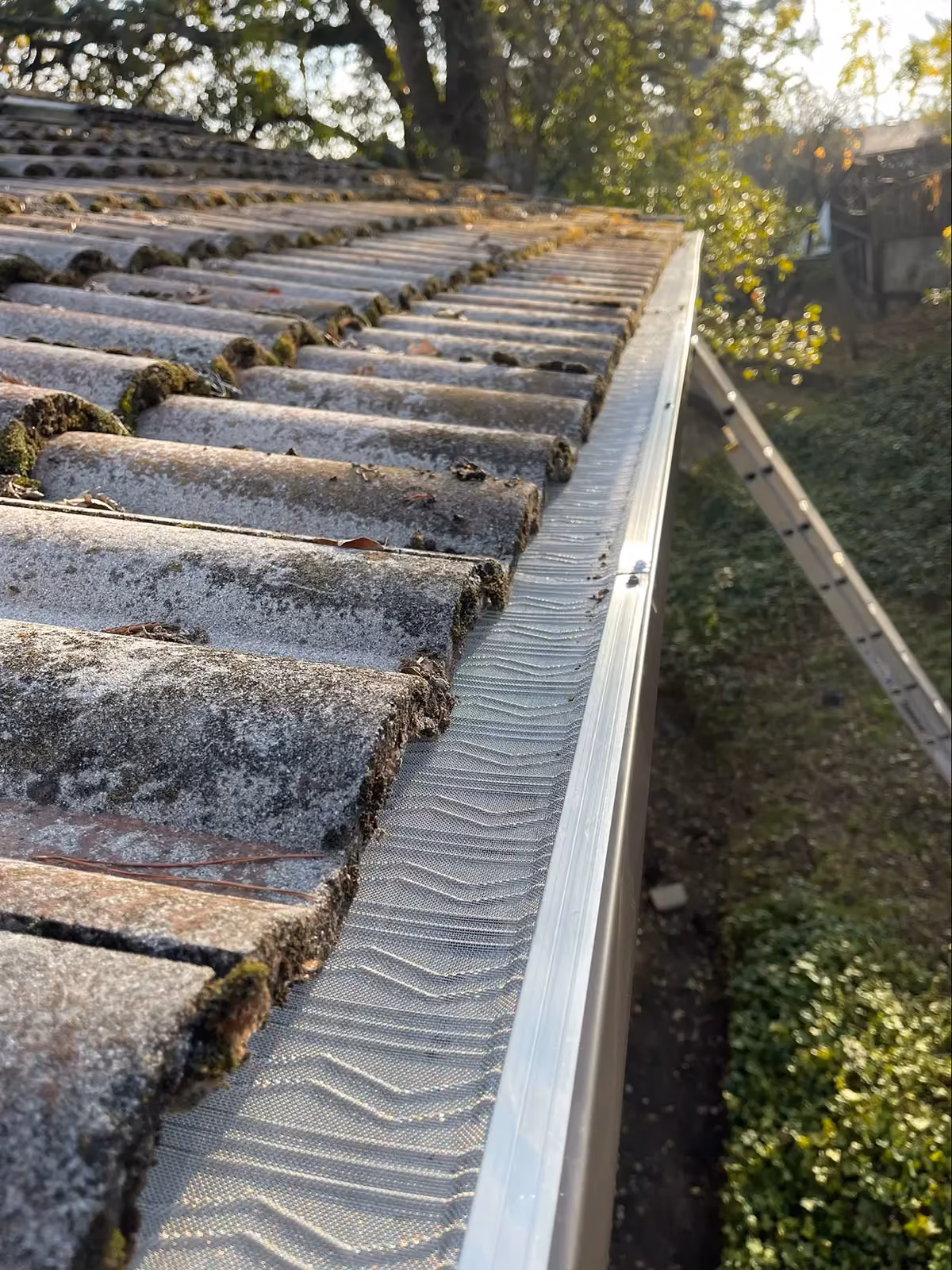 A close view of micro-mesh guard covering a gutter, with a mossy concrete tile roof running away above it.