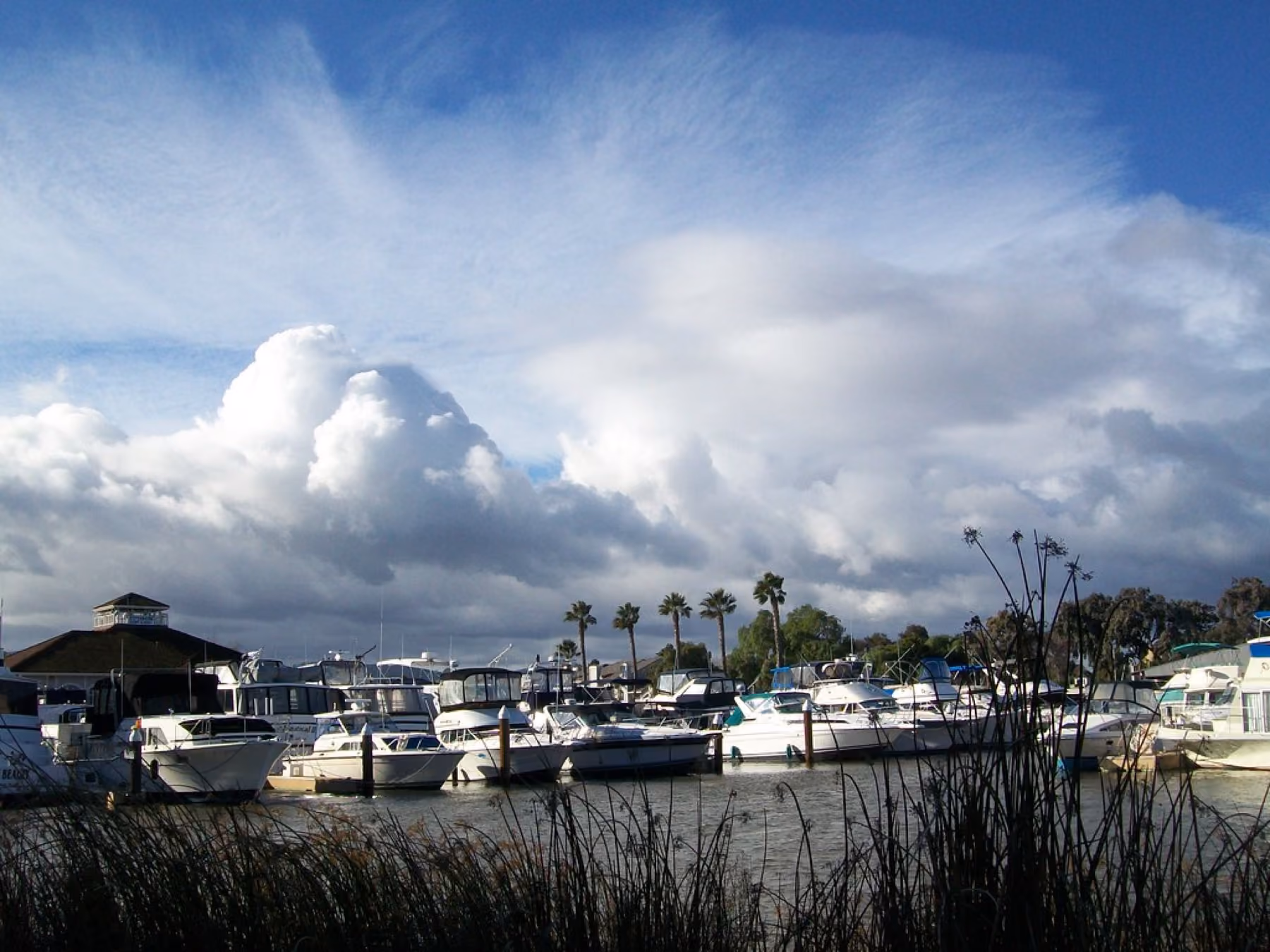 Boats moored at the Pittsburg marina under a sky of tall clouds.