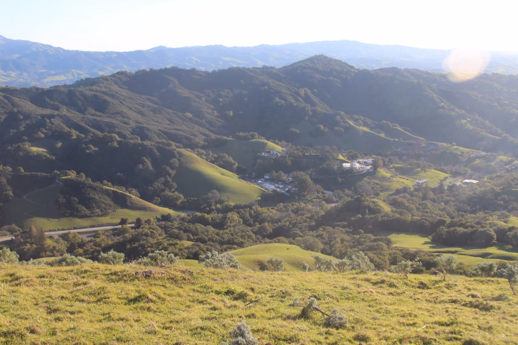 Grassy slopes and oak woodland on Las Trampas ridge, houses in the valley below.
