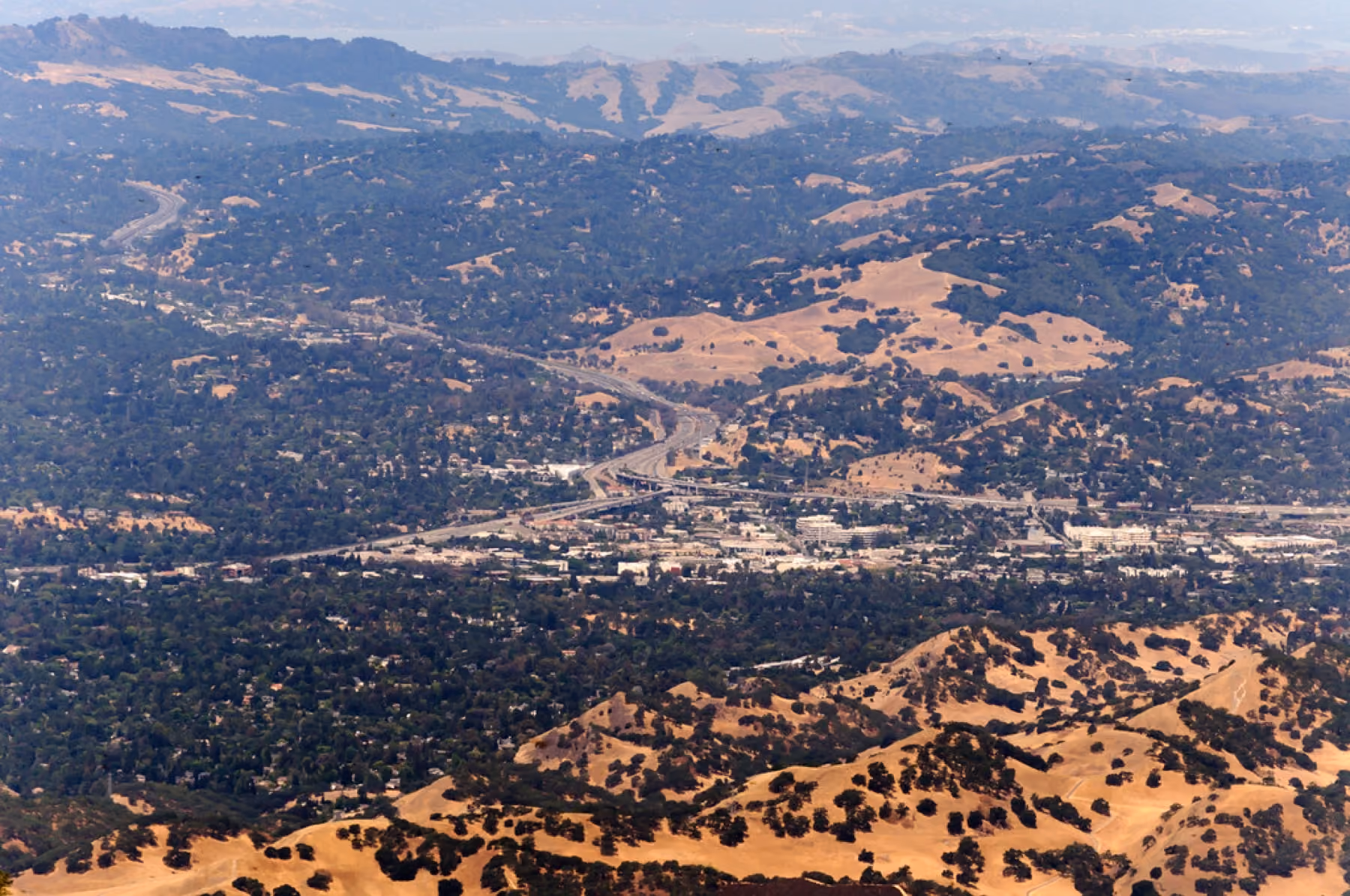 Walnut Creek spread across the valley floor, seen from the summit of Mount Diablo.